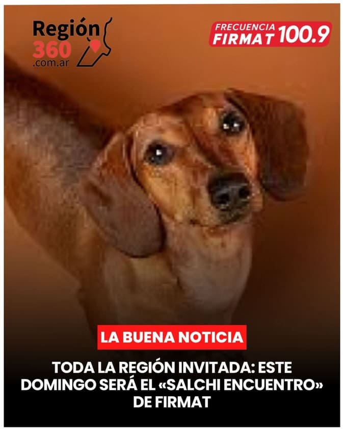 Imagen Noticia