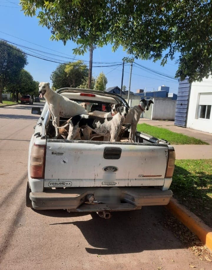 Imagen Noticia