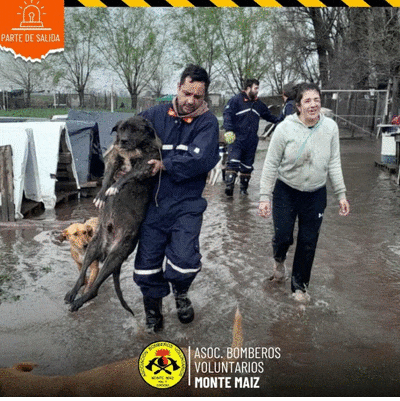 Imagen Noticia