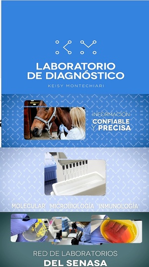 Publicidad